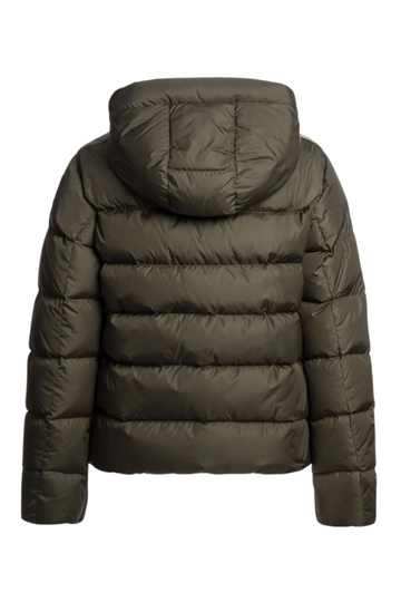 Jinny - Taggia Olive