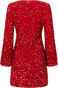 Sally Sequins Mini Dress - Red