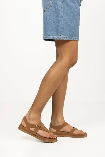 W Goldengaze Toe Pos - Chestnut