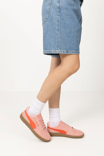Palermo - Rosy Outlook-Gum