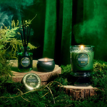 Mini Tin Candle - Bewitching Banyan Forest