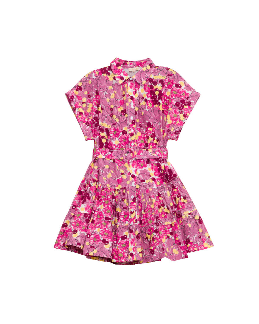 Poplin Belt Dress - Bright Field