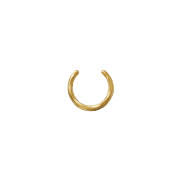Ellis Earcuff - Gull