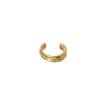 Ellis Earcuff - Gull