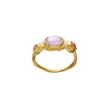 Nemo Ring - Gull