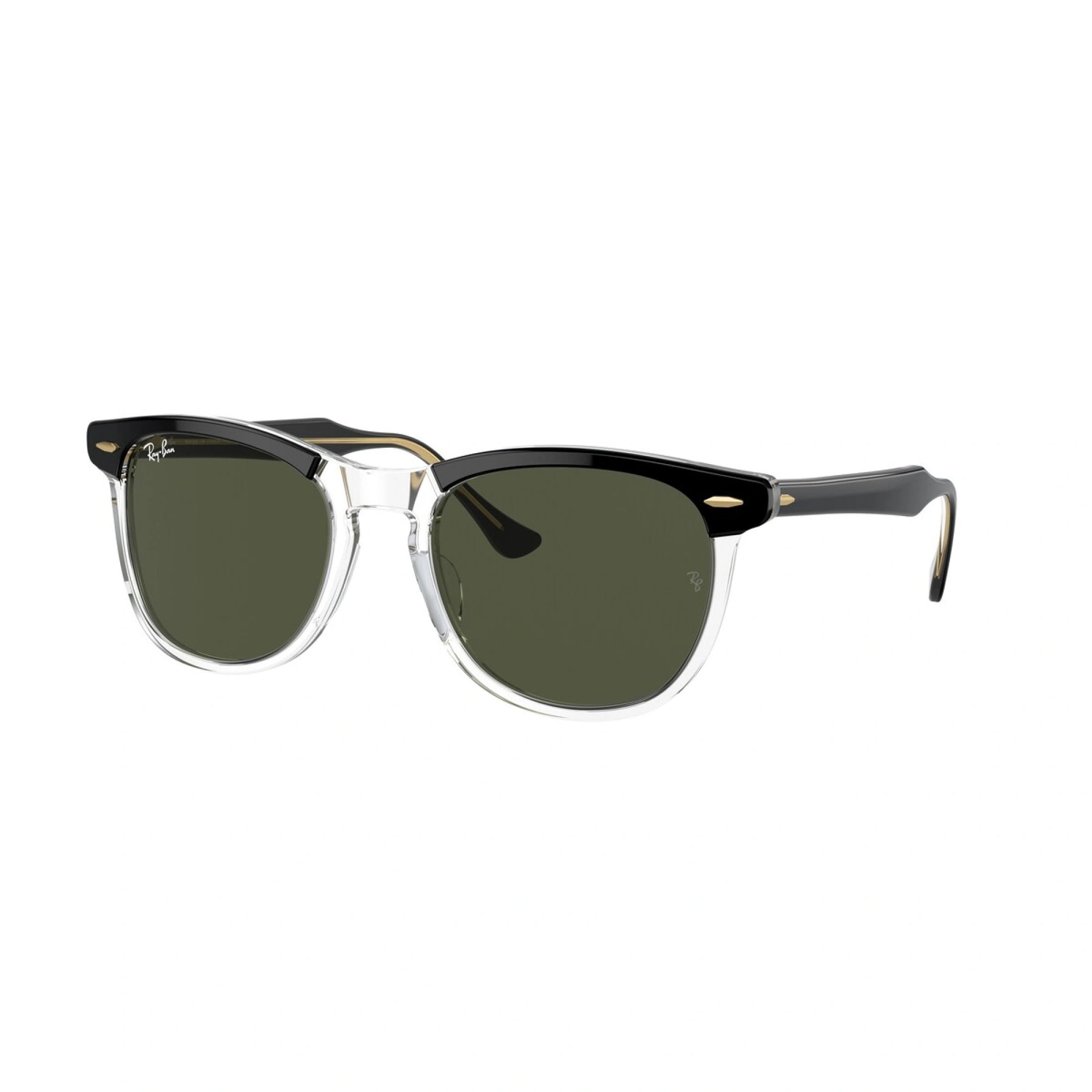 Eagle Eye - Black On Transparent Green