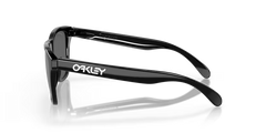 Frogskins - Polished Black - Prizm Black