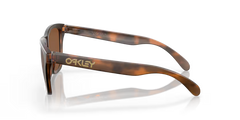 Frogskins - Matte Brown Tortoise - Prizm Tungsten
