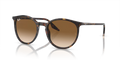 Rb2204 - Havana - Light Brown