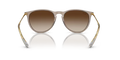 Erika - Transparent Light Brown - Brown