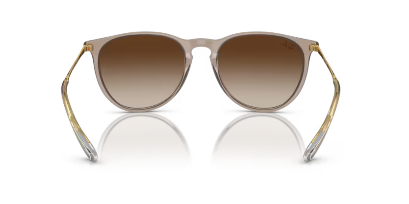 Erika - Transparent Light Brown - Brown