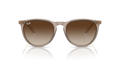 Erika - Transparent Light Brown - Brown