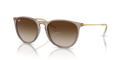 Erika - Transparent Light Brown - Brown