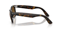 Wayfarer - Light Havana - Polarized Brown Gradient