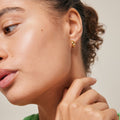 Classic Wide Hoops - Gold