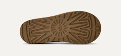 W Tasman II - Chestnut