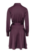 Iza Mini Dress - Burgundy