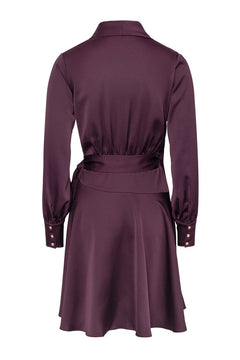 Iza Mini Dress - Burgundy
