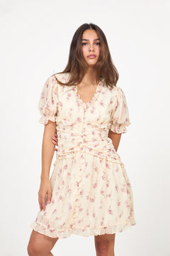 Arielic Dress - Off White Vintage Rose