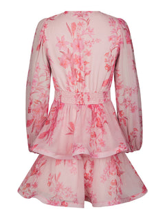 Rivana Print Chiffon Dress - Pink