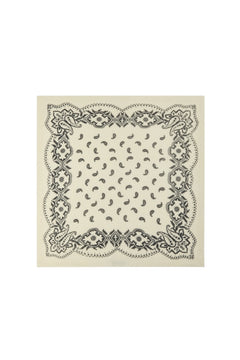 Adelina Paisley Knit Scarf - Off White