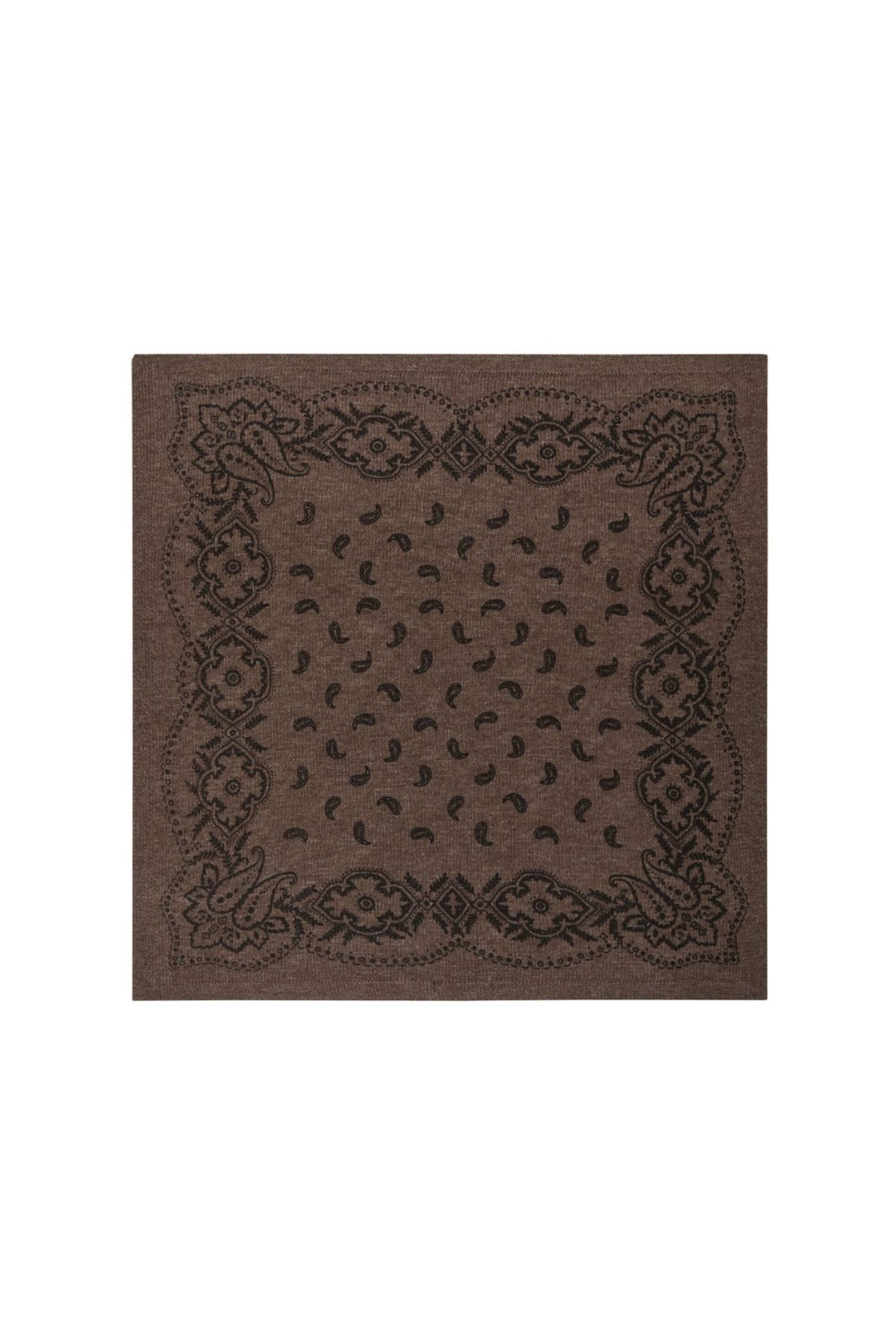 Adelina Paisley Knit Scarf - Brown Melange