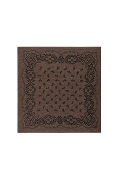 Adelina Paisley Knit Scarf - Brown Melange