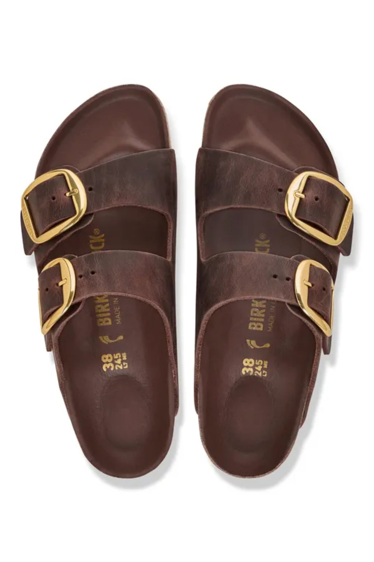 Arizona Big Buckle Oiled Leather - Habana
