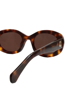 Carpi - Tortoise Brown