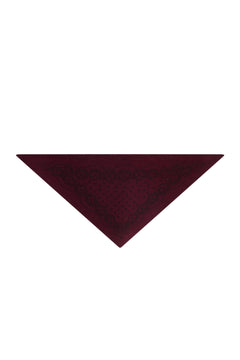 Ariya Paisley Knit Scarf - Wine
