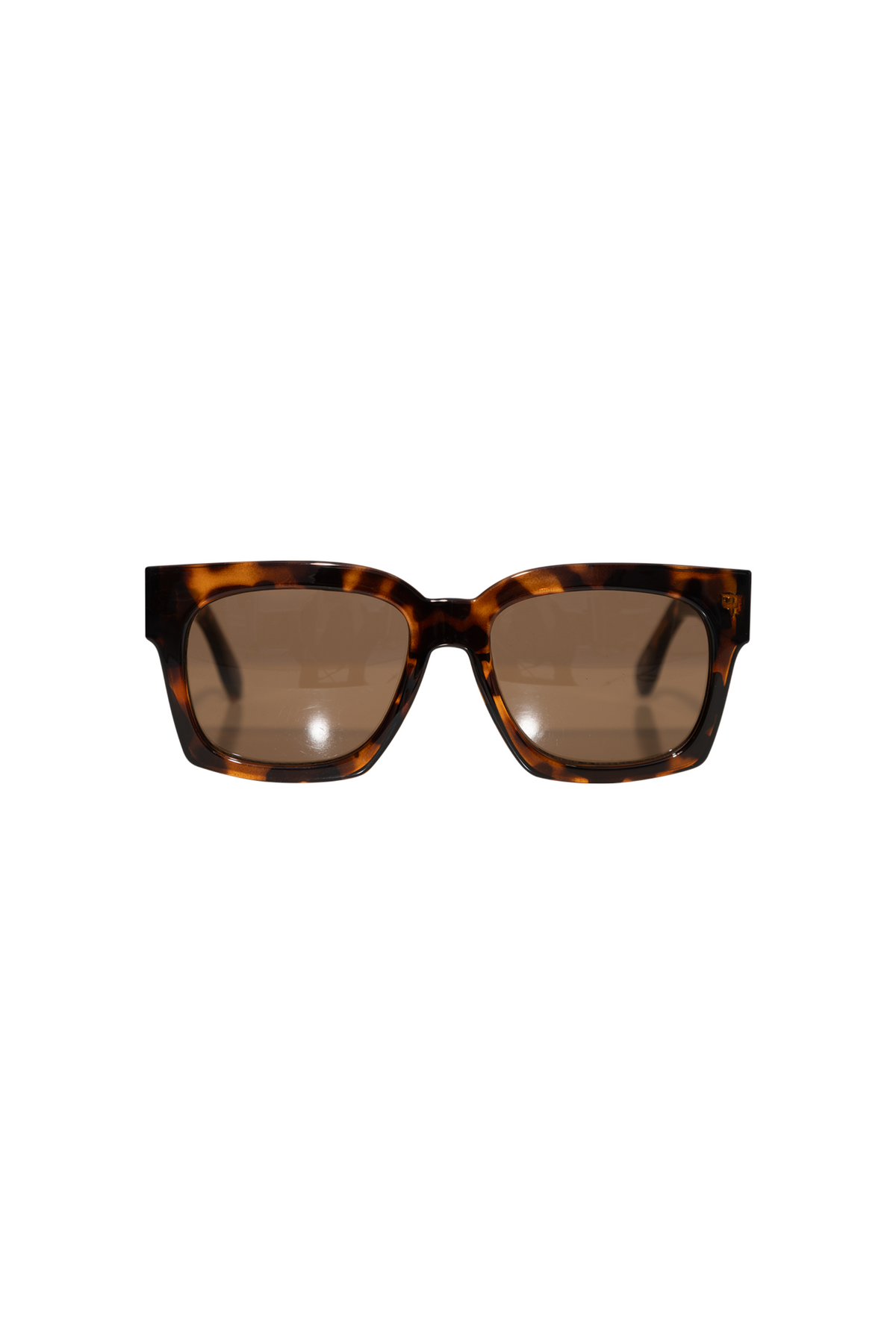 Alba - Tort/ Brown