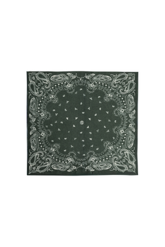 Cashmere Paisley Scarf - 65 Cm - Green & Cream