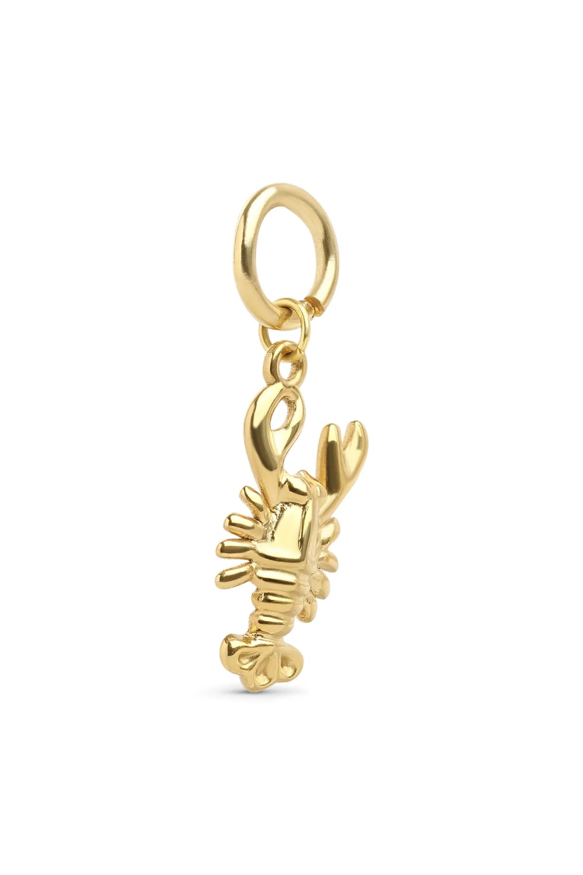 Cara Lobster Charm - Gold
