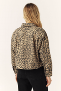Jacket Timotee - Beige