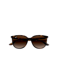 RB4378 - Havana - Gradient Brown