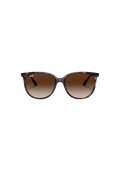 RB4378 - Havana - Gradient Brown