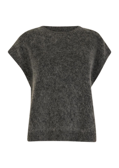 Wolf - Grey