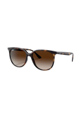 RB4378 - Havana - Gradient Brown