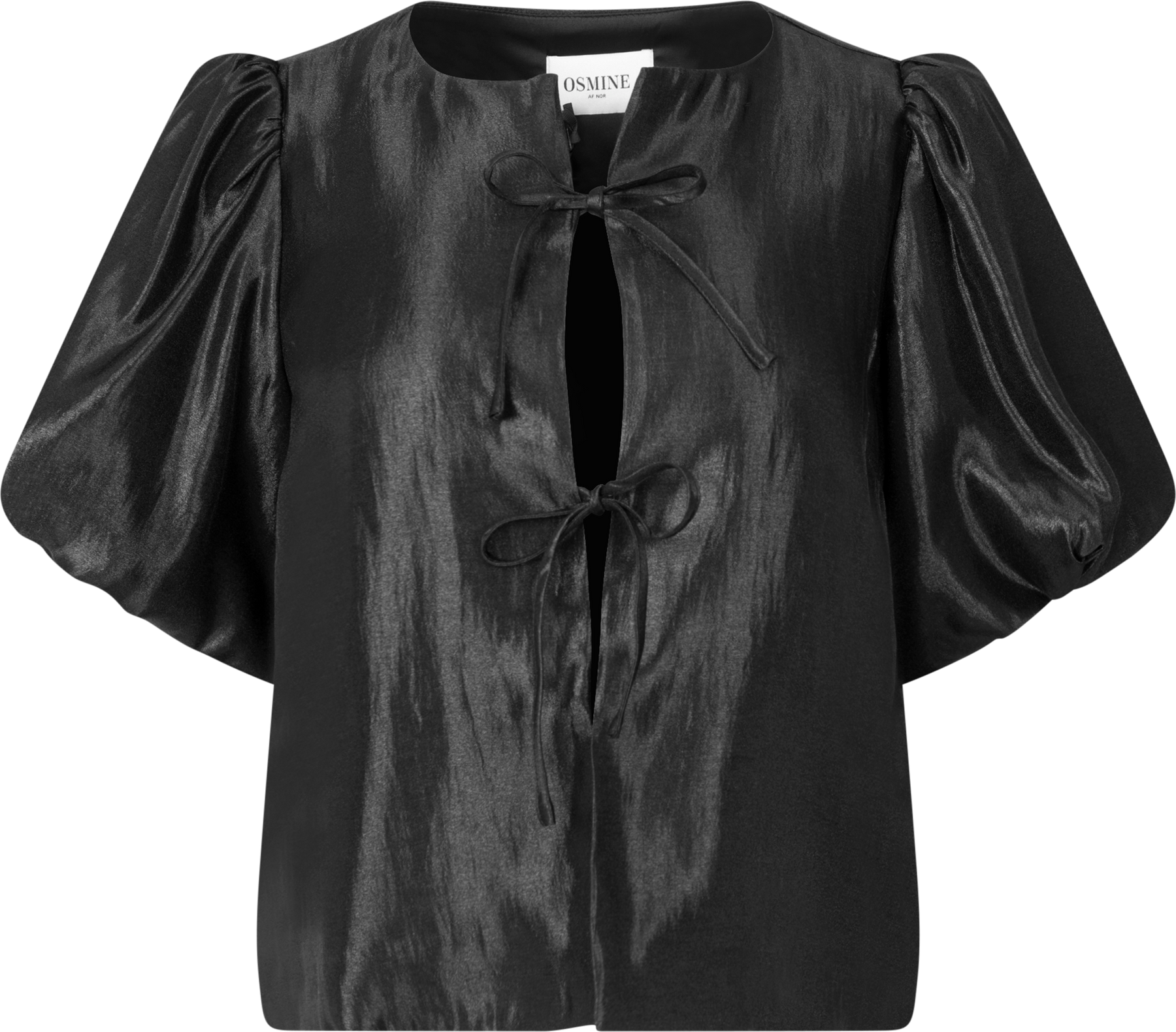 Rosie Organza Blouse - Black
