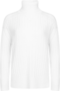 Wool Ribbed Turtleneck - Cream