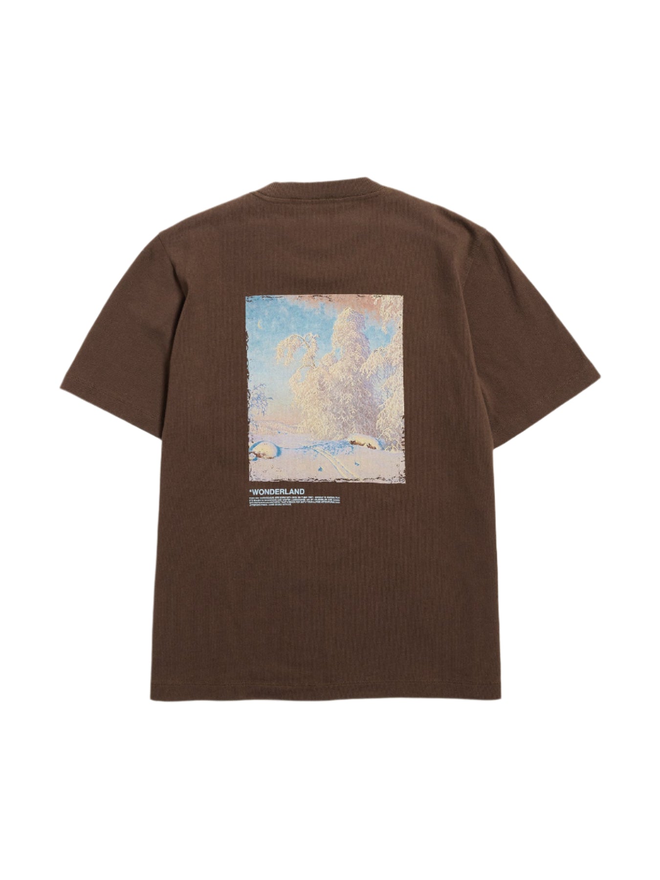 Kjerag National Tee - Brown