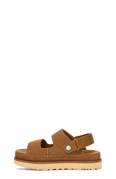 W Goldenstar Glide - Chestnut