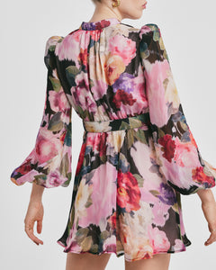 Organza Mini Dress - Winter Breeze