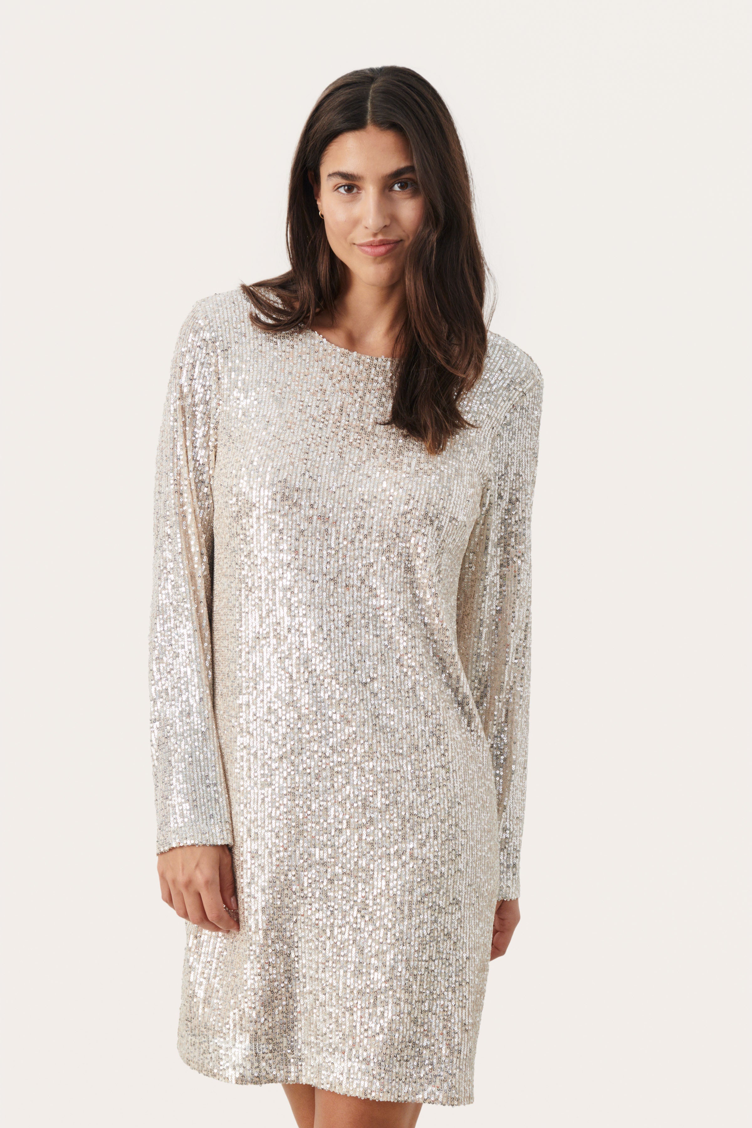 DarleenPW DR - Silver