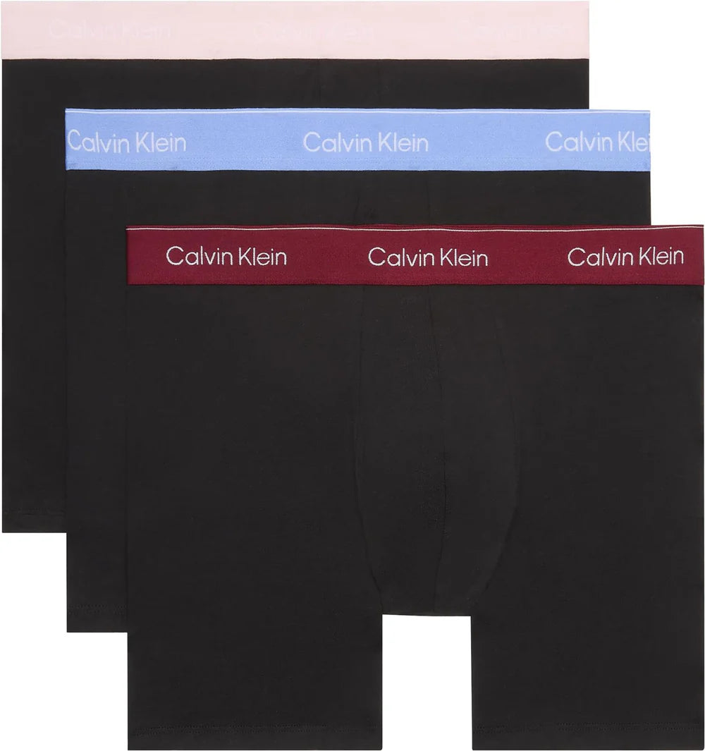 Boxer Brief 3Pk - Black Bodies W/ Fall Berry/Frozen F