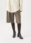 5602 Hedda - Chocolate