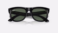 Wayfarer Reverse - Green Polished Black