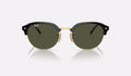 RB4429 - Black On Arista - Green
