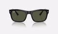 RB4428 - Black - Green