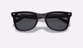 RB4420 - Black - Dark Grey
